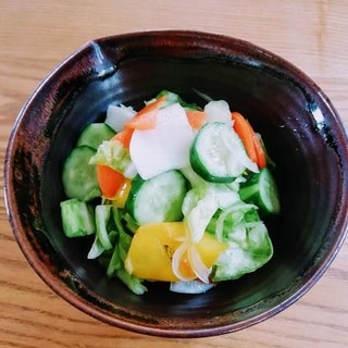 野菜のさしす浅漬け